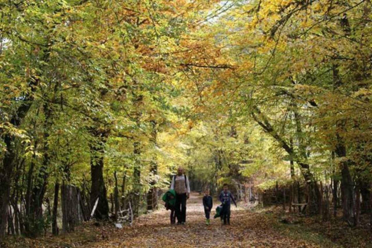 Seoski Turizam Zilicina Rogatica Экстерьер фото